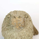 The Roar paper mache sculpture 7